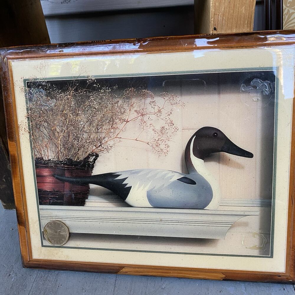 Vintage Decoy Duck On Shelf Lithograph Art Print On Wood White A Canada Coin